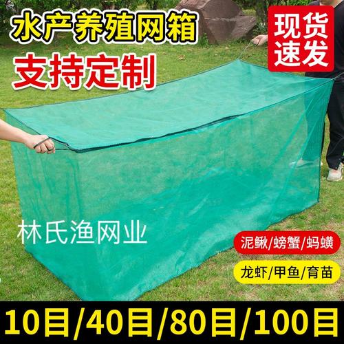 黄鳝网箱育苗技术要点有哪些？-图3