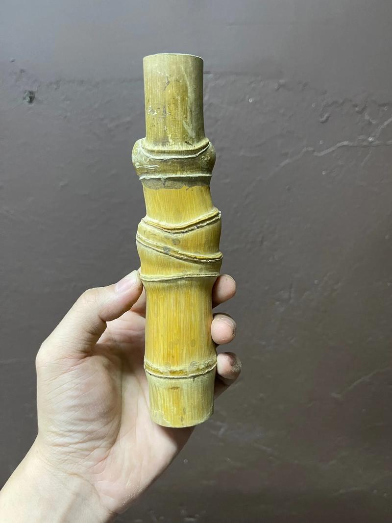 哪里能买到实心竹子品种？-图1