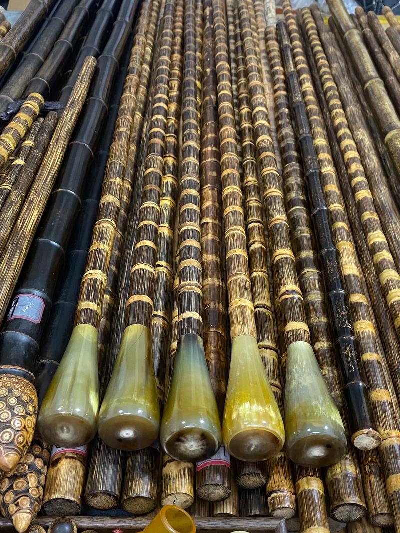 哪里能买到实心竹子品种？-图3