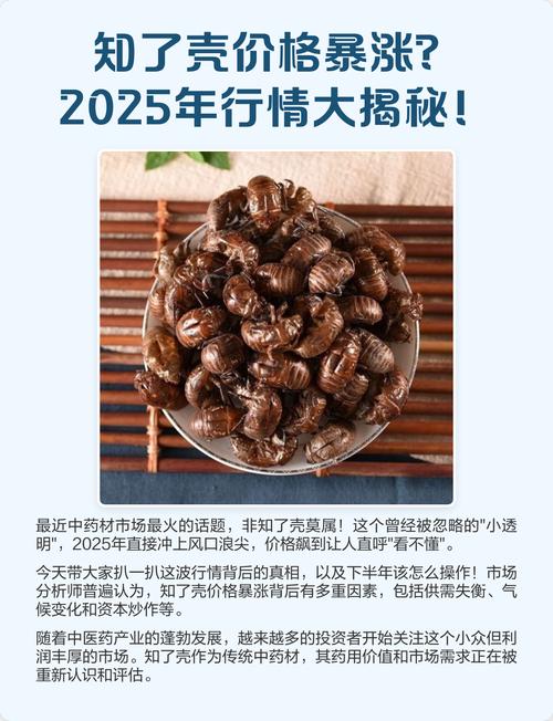 2025年知了市场价格会涨还是跌？-图1