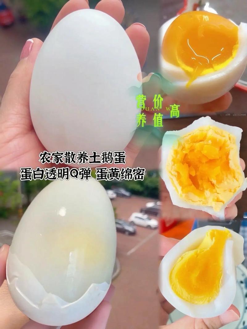 2025鹅蛋最新价格是多少?-图3 2025鹅蛋最新价格是多少?-图3