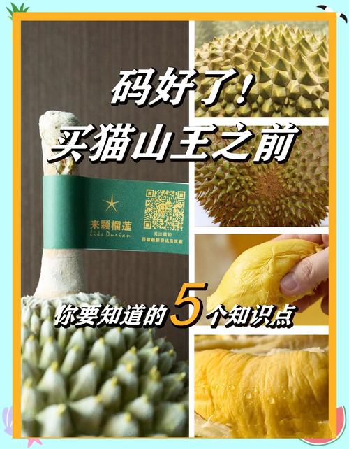 猫山王为何稳居榴莲品种榜首？-图2