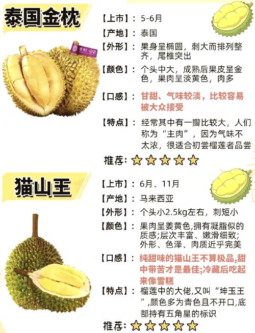 猫山王为何稳居榴莲品种榜首？-图1