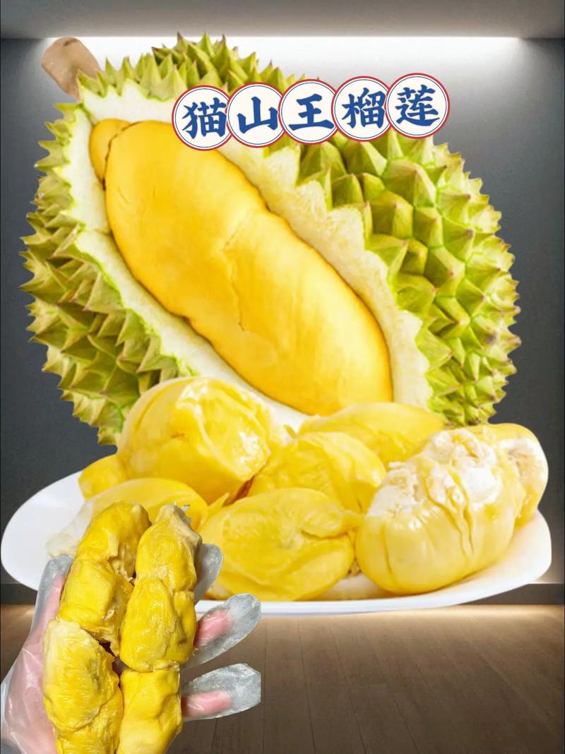 猫山王为何稳居榴莲品种榜首？-图3
