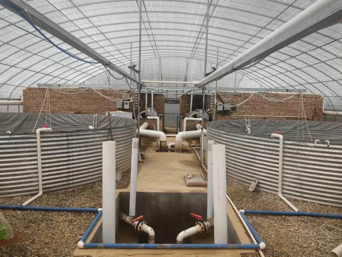 物理技术如何精准调控养殖水质？-图1