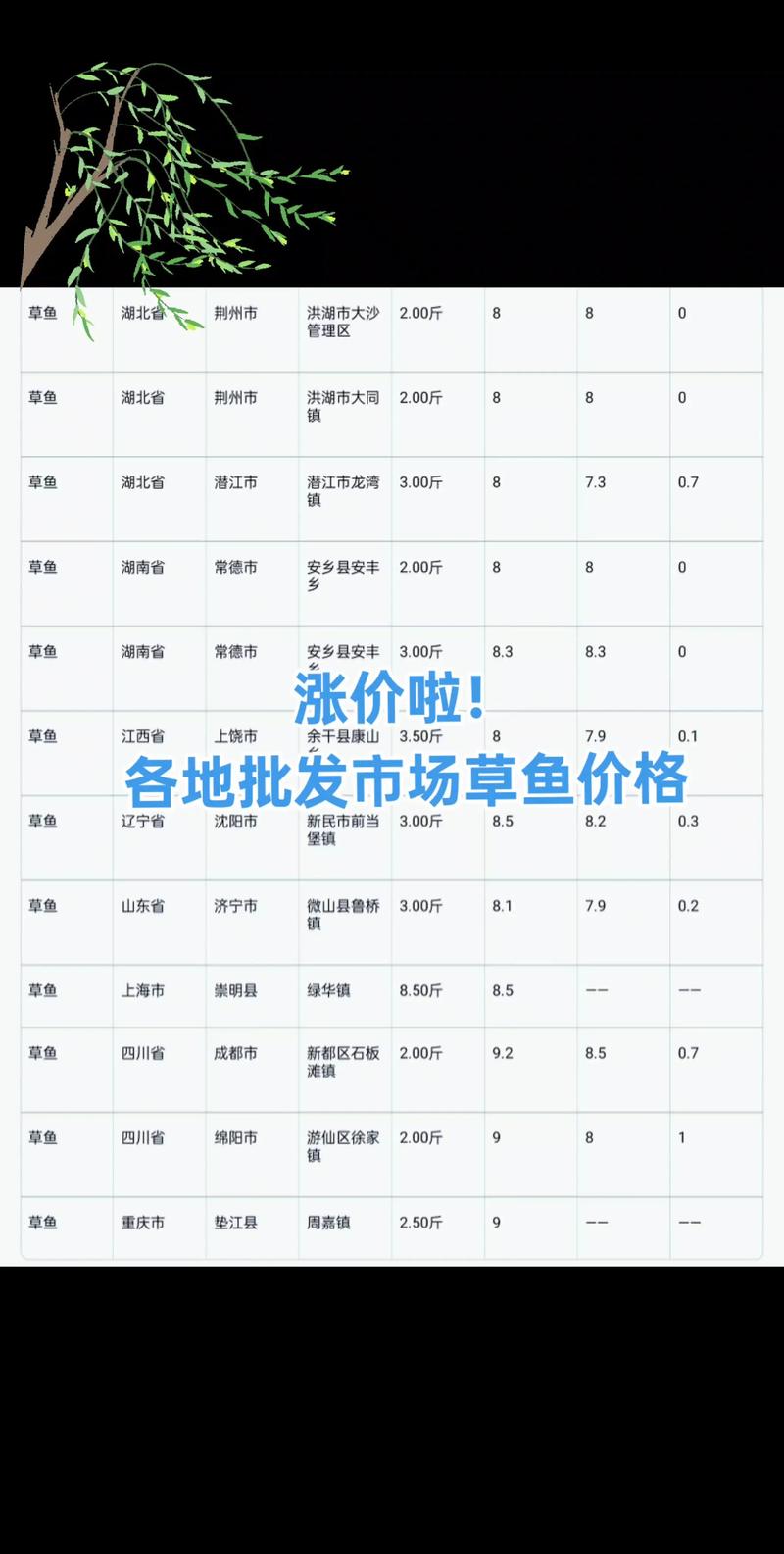 2025湖北草鱼价格-图1 2025湖北草鱼价格-图1