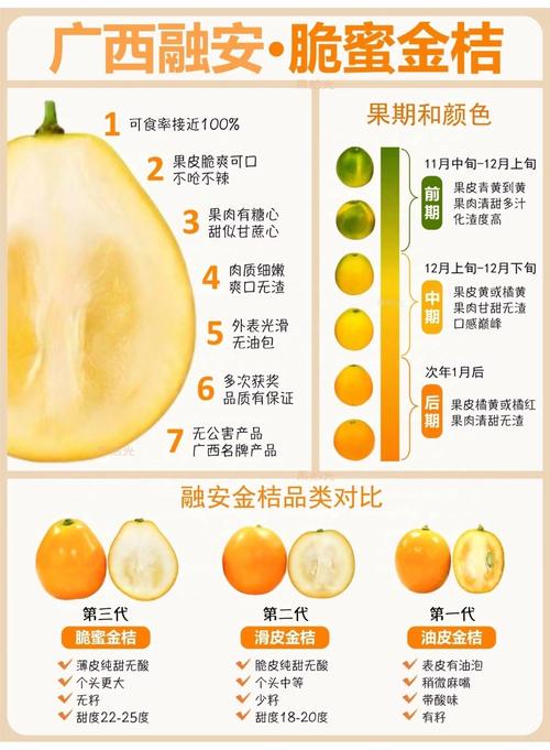 最好桔子品种是哪个?-图2 最好桔子品种是哪个?-图2