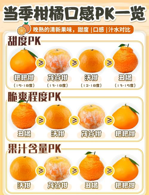 最好桔子品种是哪个?-图3 最好桔子品种是哪个?-图3