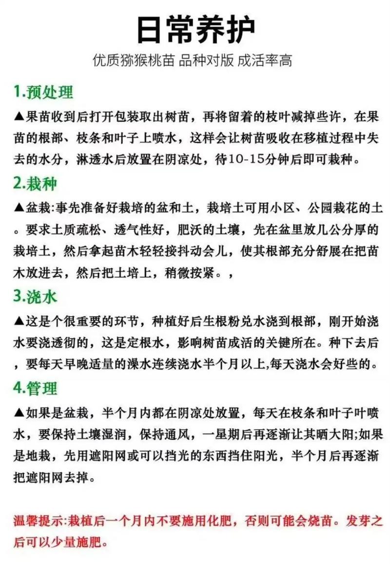 果树间作绿肥有哪些技术要点？-图2