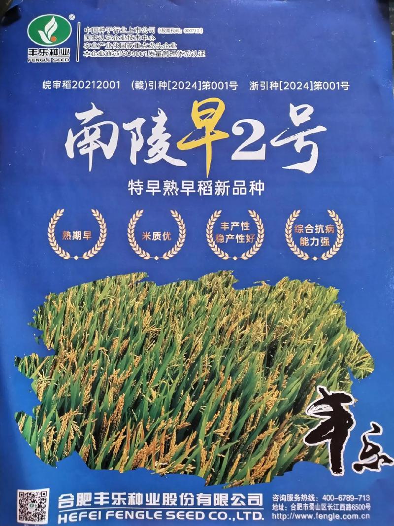 早稻早熟高产水稻品种有何优势？-图3