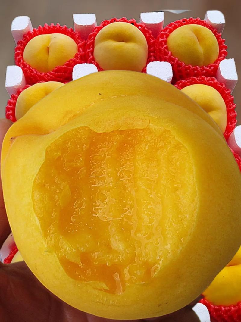 山东桃子哪个品种最好吃？-图1