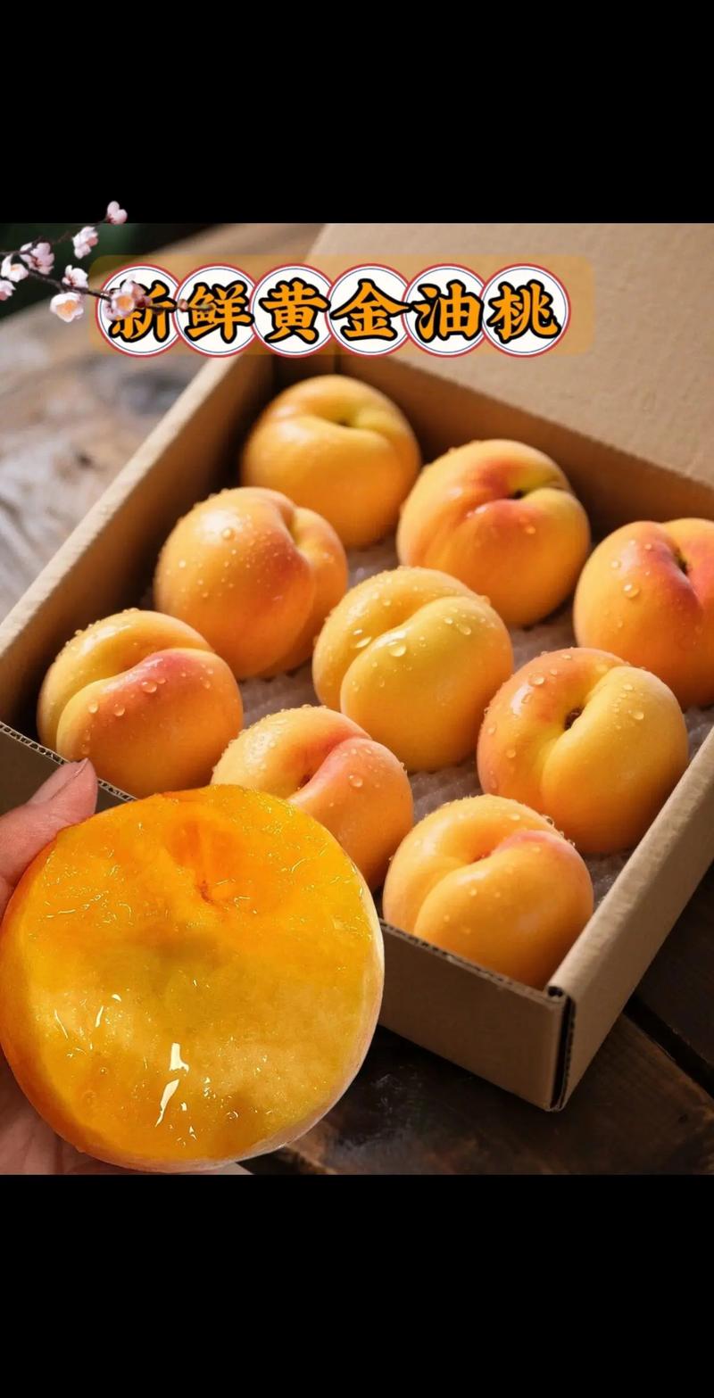 山东桃子哪个品种最好吃？-图2