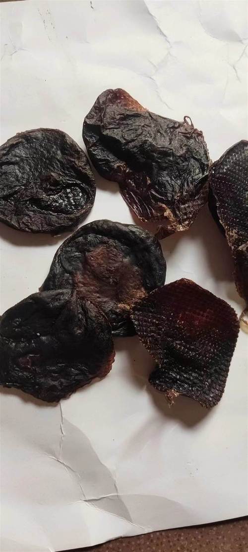 2025水蛭价格会涨还是跌？-图2