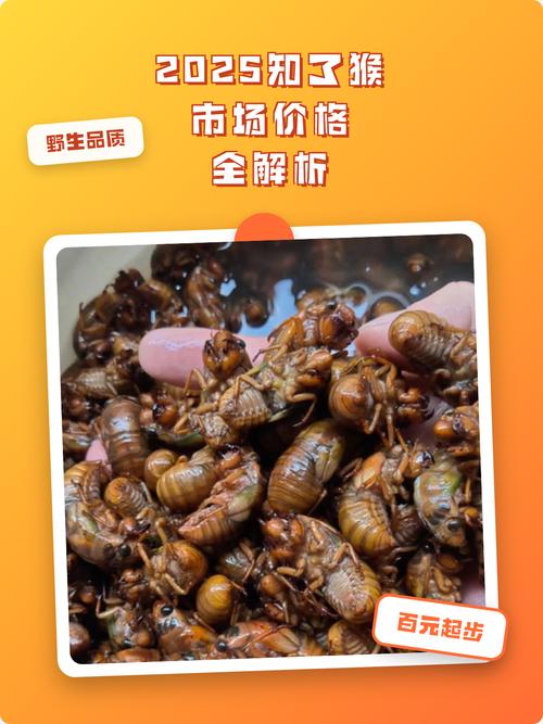 金蝉价格2025 个-图1 金蝉价格2025 个-图1