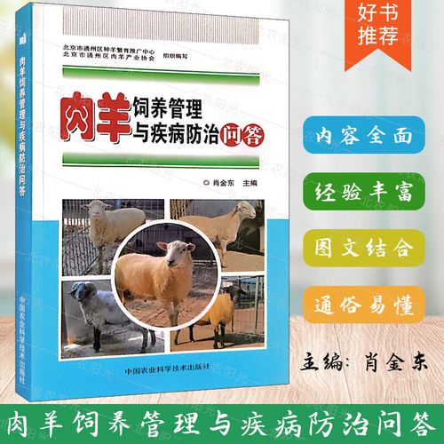 肉羊繁殖技术规程有哪些关键要点？-图1