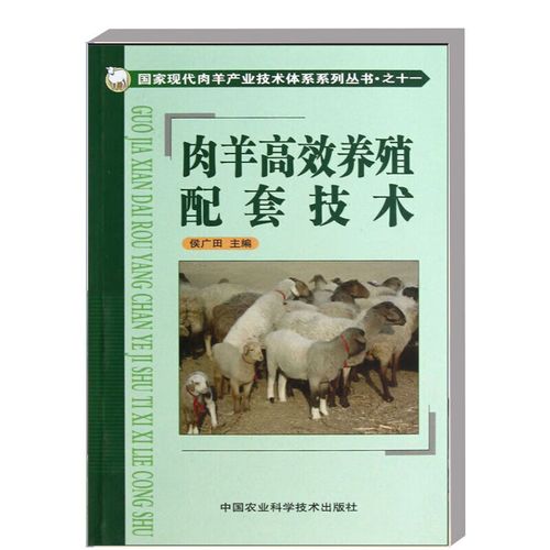 肉羊繁殖技术规程有哪些关键要点？-图2