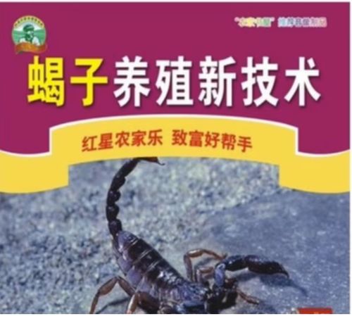 蝎子养殖关键技术有哪些？-图1