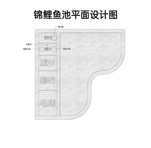 锦鲤 池塘 养殖技术-图2