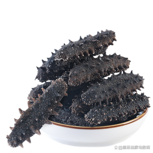 莱州海参2025价格会涨还是跌？-图1