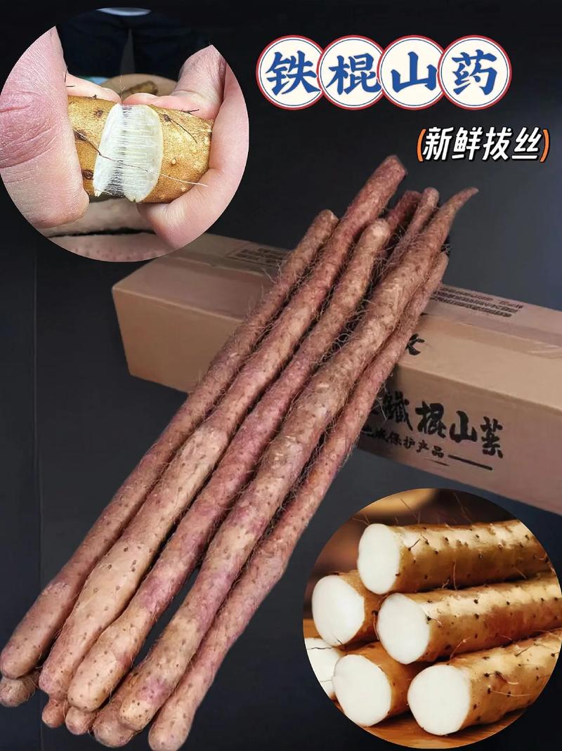 园山药优良品种有哪些？-图3