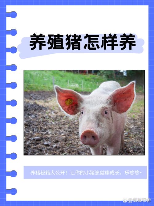 益生菌如何赋能生态养猪?-图2 益生菌如何赋能生态养猪?-图2