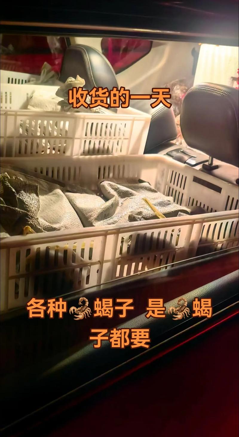 2025蝎子养殖技术有哪些新突破?-图1 2025蝎子养殖技术有哪些新突破?-图1