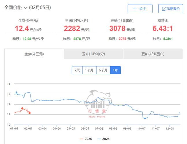 2025种猪价格会涨还是跌？-图1