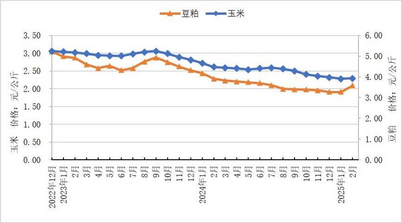 2025种猪价格会涨还是跌？-图3