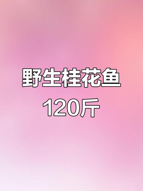 2025合肥桂鱼价格会涨还是跌？-图1