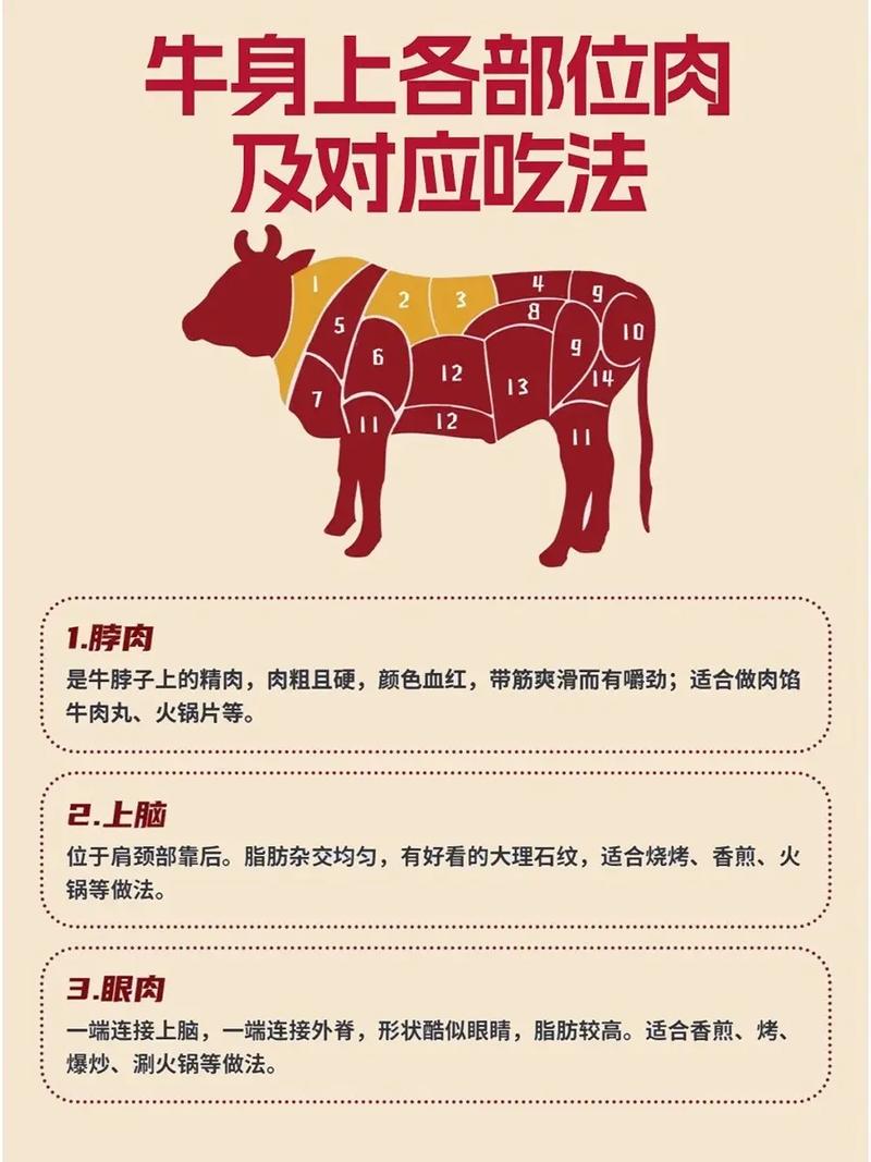 黄牛改良技术图解，核心要点有哪些？-图2