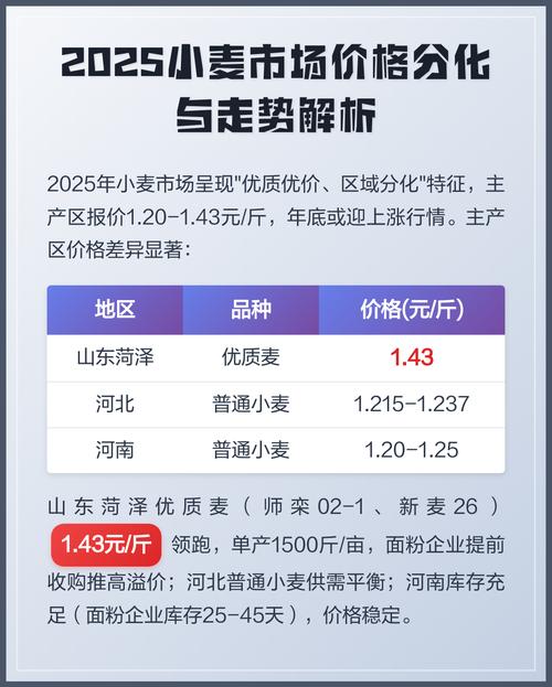 2025东北小麦价格会涨还是跌？-图1