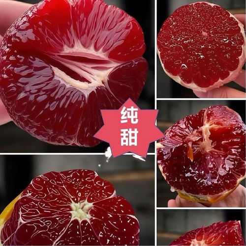 哪些水果新品种适合种植？-图3