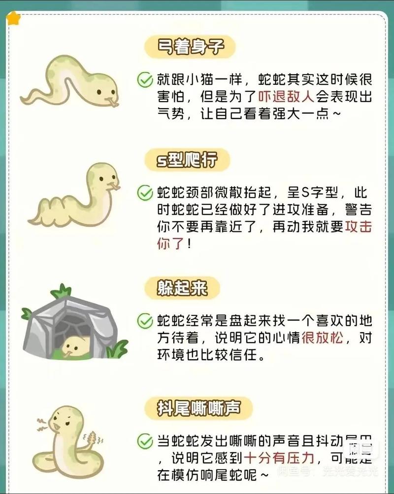 哪里能合法学养殖五步蛇技术？-图1