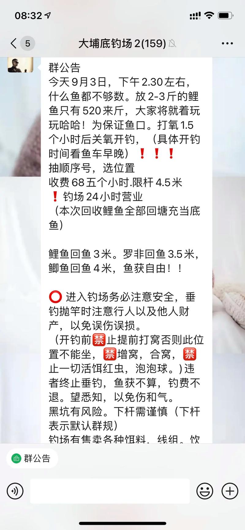 2025年鲤鱼价格最新行情如何？-图2