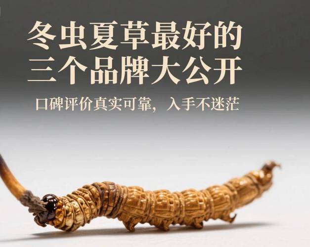 人工培植冬虫夏草价格贵不贵？-图2