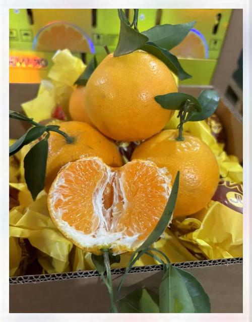 最贵的柑橘品种是哪个？-图2