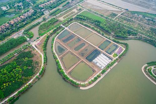 湘莲池套养小龙虾，如何实现双丰收？-图3