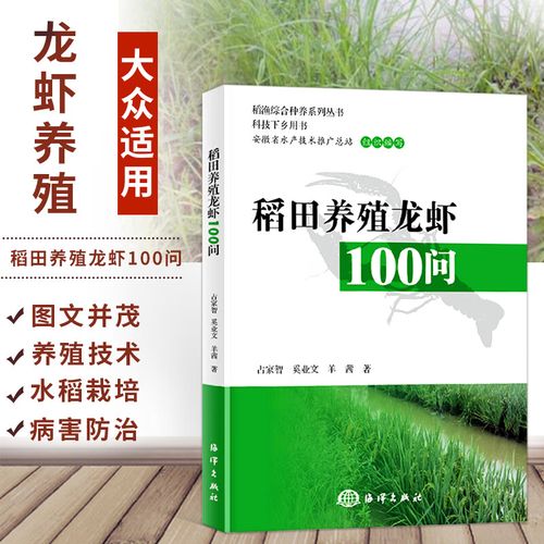 养小龙虾需掌握哪些核心技术？-图2