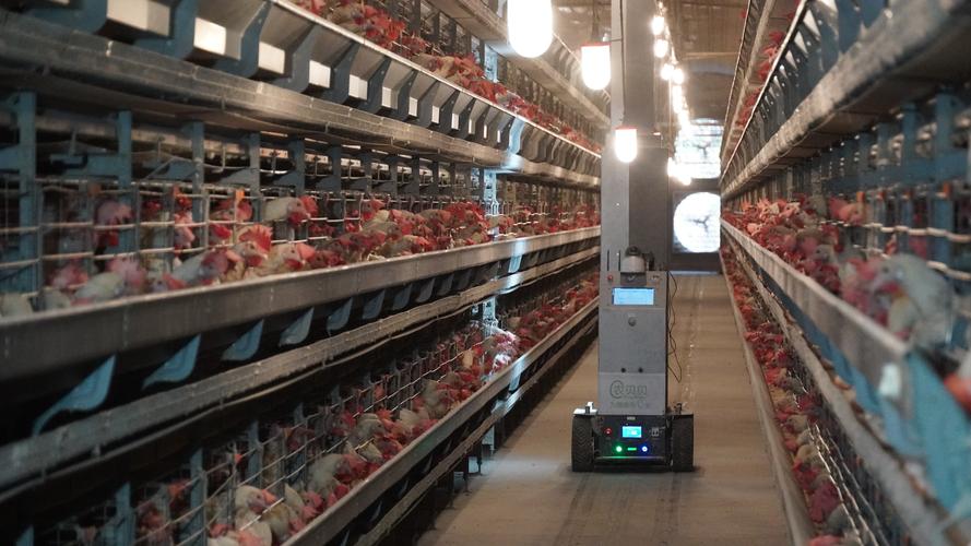 高效益生物链养殖技术如何实现？-图3