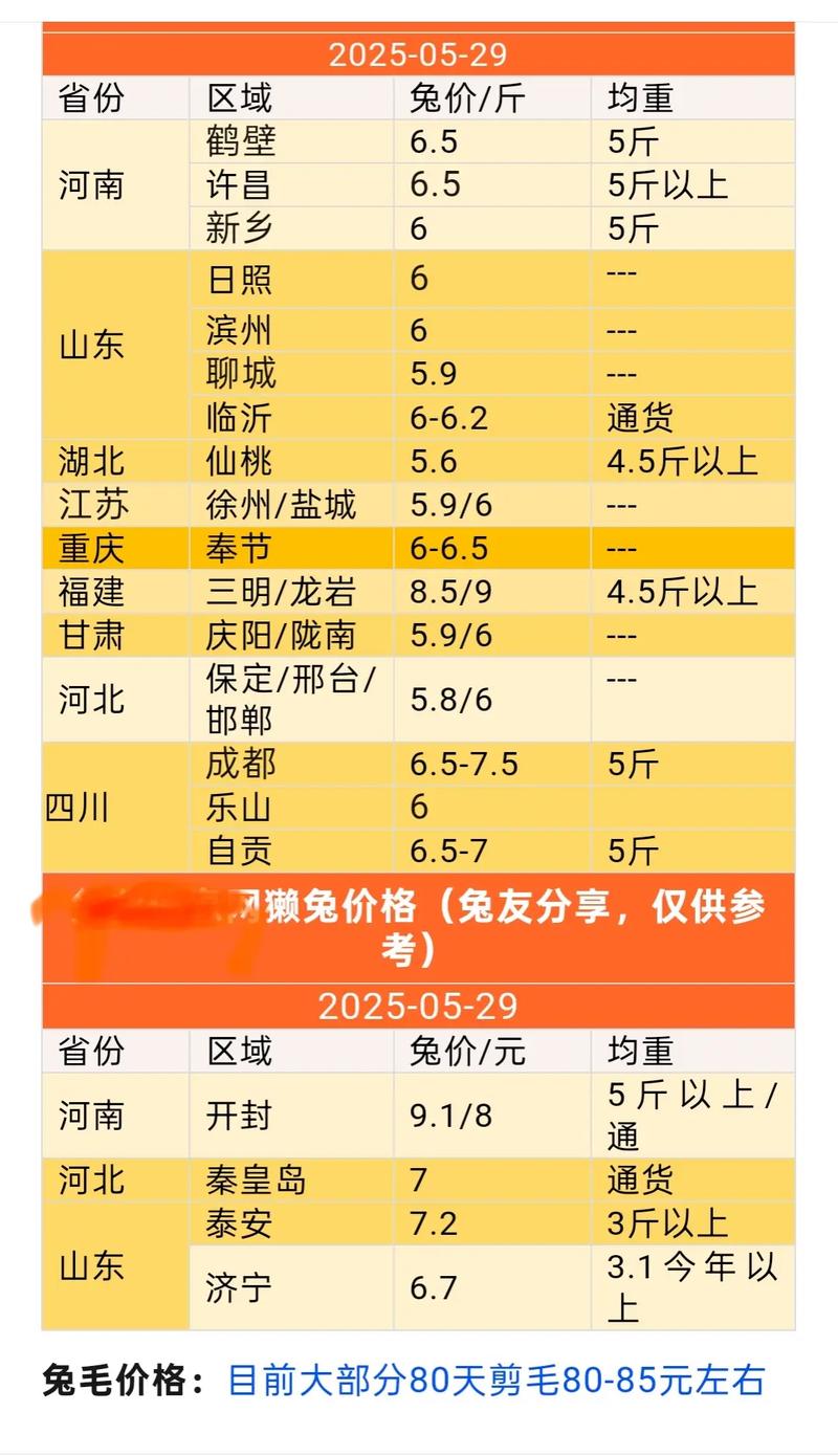 2012獭兔价格走势如何？-图2