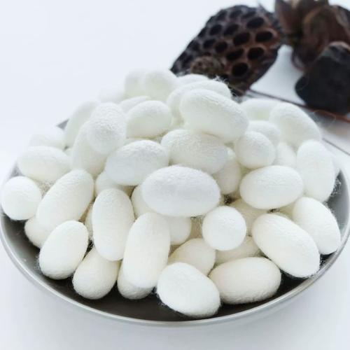 2025春季蚕茧价格会涨还是跌？-图3