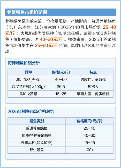 2025年昆明黄鳝价格会涨还是跌？-图1