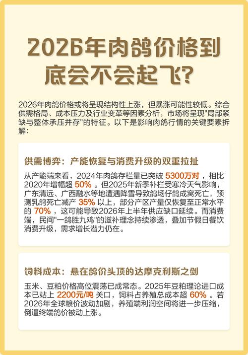2025年中国肉鸽价格会涨还是跌？-图2