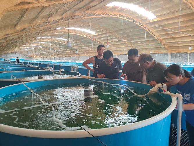 淡水鱼养殖技术交流群，如何高效提升养殖技术？-图3