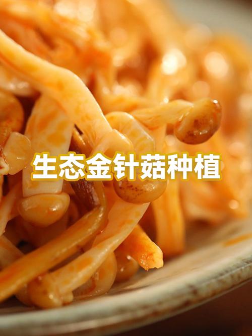 金针菇栽培技术要点有哪些关键步骤?-图2 金针菇栽培技术要点有哪些关键步骤?-图2