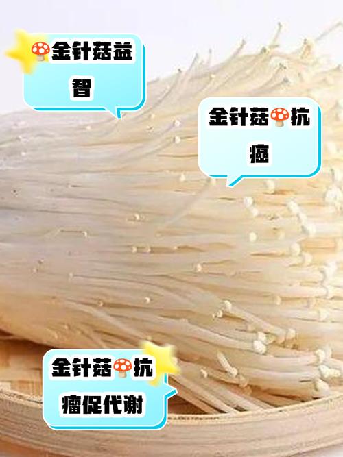 金针菇栽培技术要点有哪些关键步骤?-图3 金针菇栽培技术要点有哪些关键步骤?-图3