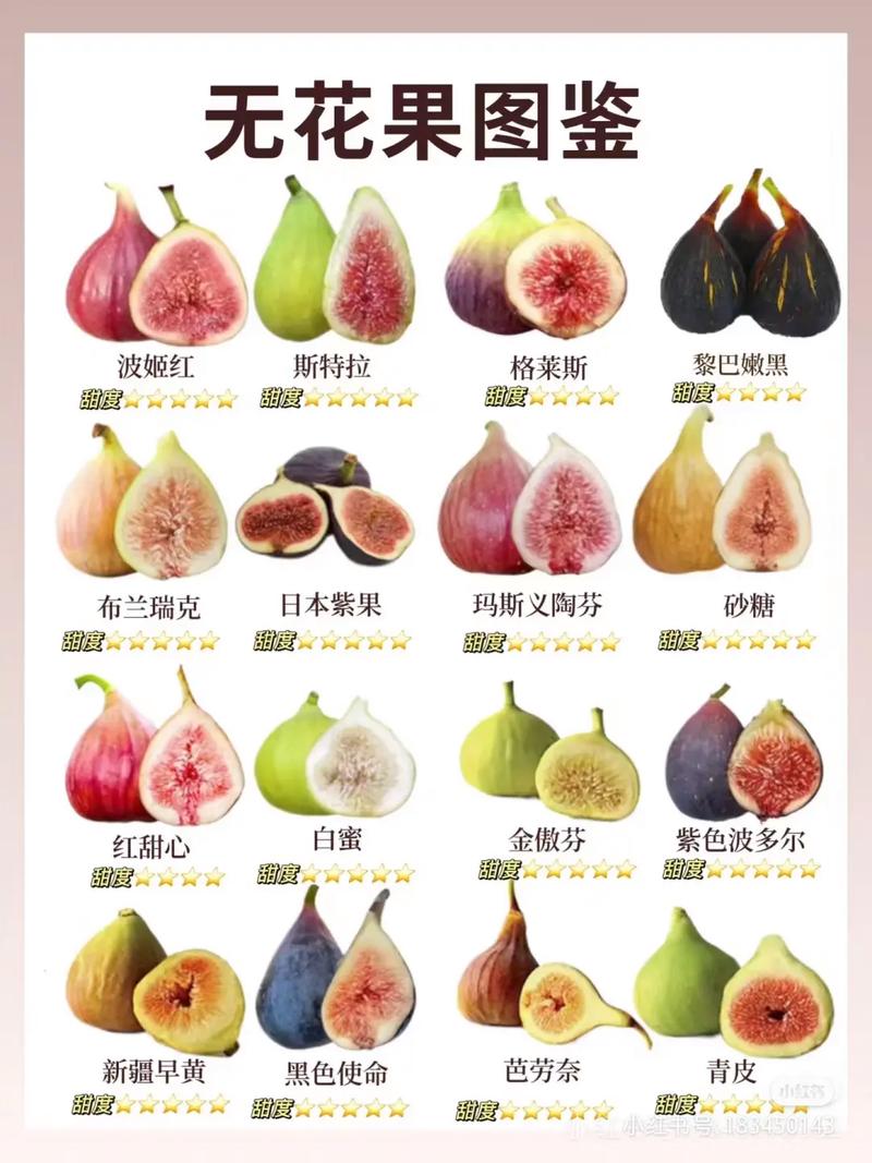 无花果品种有哪些？看图识别。-图1