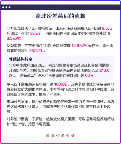 2025年鹅蛋价格会涨还是跌？-图1