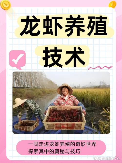 小龙虾高密度养殖如何提效益防病害？-图2