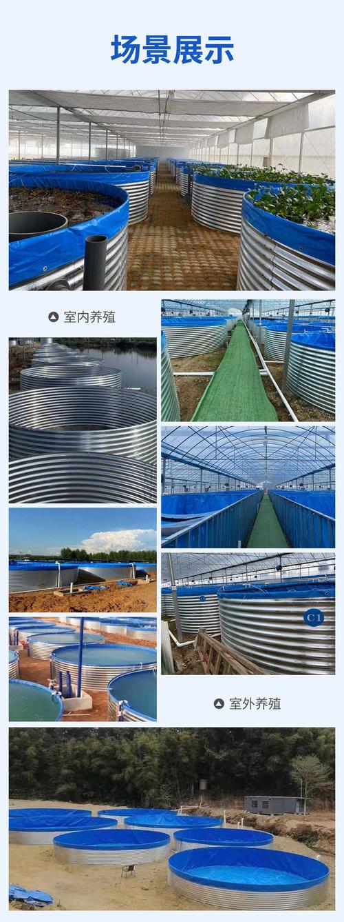 淡水鱼高密度养殖技术如何实现高效高产？-图2